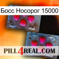 Босс Носорог 15000 14